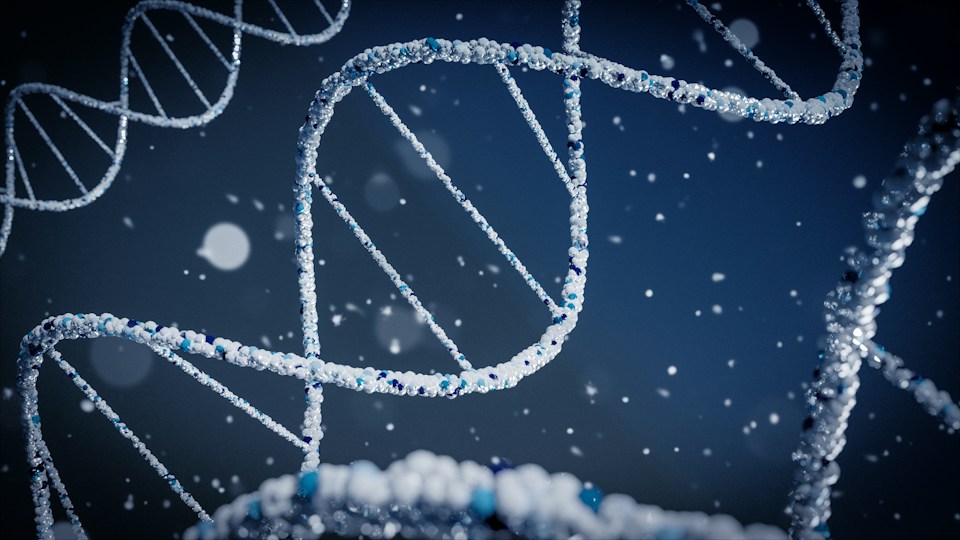 Three-dimensional illustration of DNA double helices against a blue background