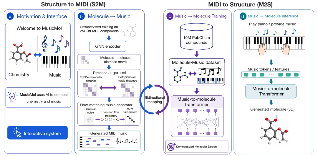 MusicMol structure-to-MIDI and MIDI-to-structure framework
