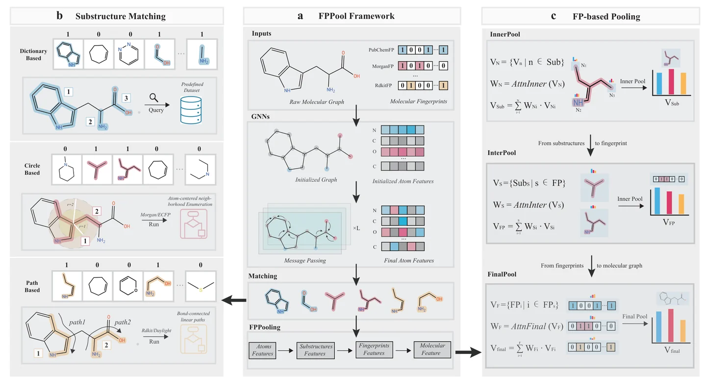 FPPool framework: fingerprint matching and hierarchical molecular graph pooling