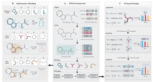 FPPool framework: fingerprint matching and hierarchical molecular graph pooling
