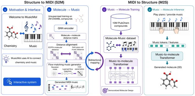 MusicMol framework: bidirectional molecule-to-music generation and music-to-molecule decoding